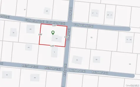 64 Cumberland Trail Smallwood NY 12778