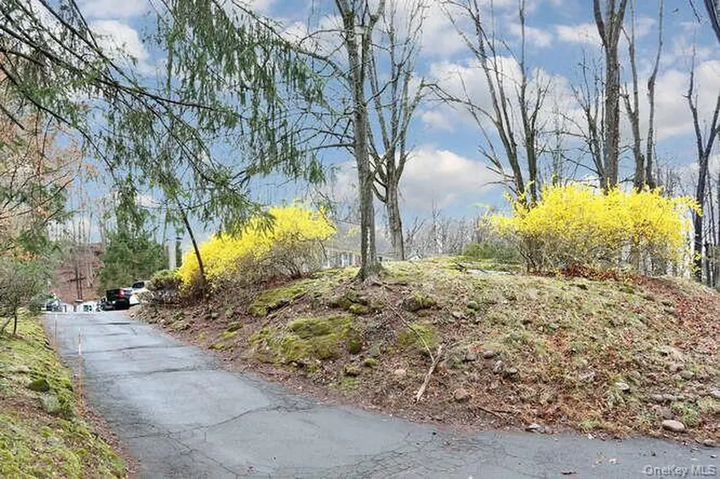 161 Mcnamara Road Spring Valley NY 10977