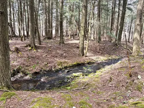 Lot 6.15 Little Beaver Creek Lane Call Listing Agent NY 12093