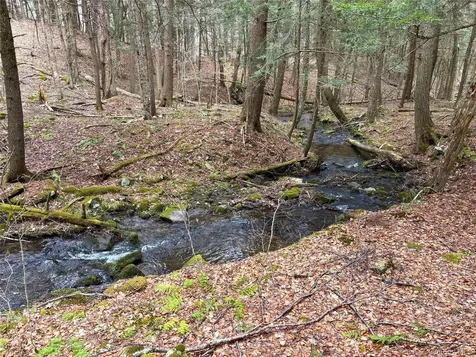 Lot 6.15 Little Beaver Creek Lane Call Listing Agent NY 12093