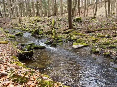 Lot 6.15 Little Beaver Creek Lane Call Listing Agent NY 12093