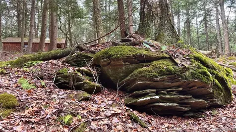 Lot 6.15 Little Beaver Creek Lane Call Listing Agent NY 12093