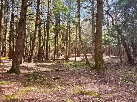 Lot 6.15 Little Beaver Creek Lane Call Listing Agent NY 12093