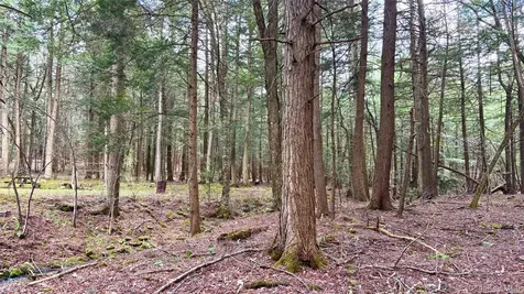 Lot 6.15 Little Beaver Creek Lane Call Listing Agent NY 12093