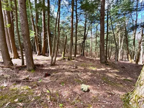 Lot 6.15 Little Beaver Creek Lane Call Listing Agent NY 12093