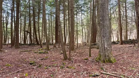 Lot 6.15 Little Beaver Creek Lane Call Listing Agent NY 12093