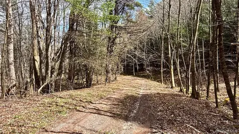 Lot 6.15 Little Beaver Creek Lane Call Listing Agent NY 12093