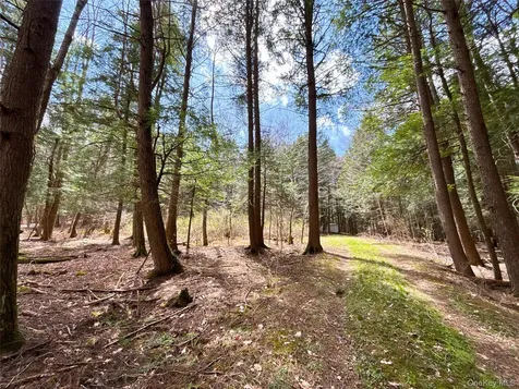 Lot 6.15 Little Beaver Creek Lane Call Listing Agent NY 12093