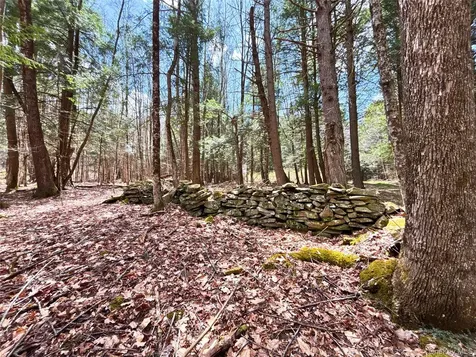 Lot 6.15 Little Beaver Creek Lane Call Listing Agent NY 12093