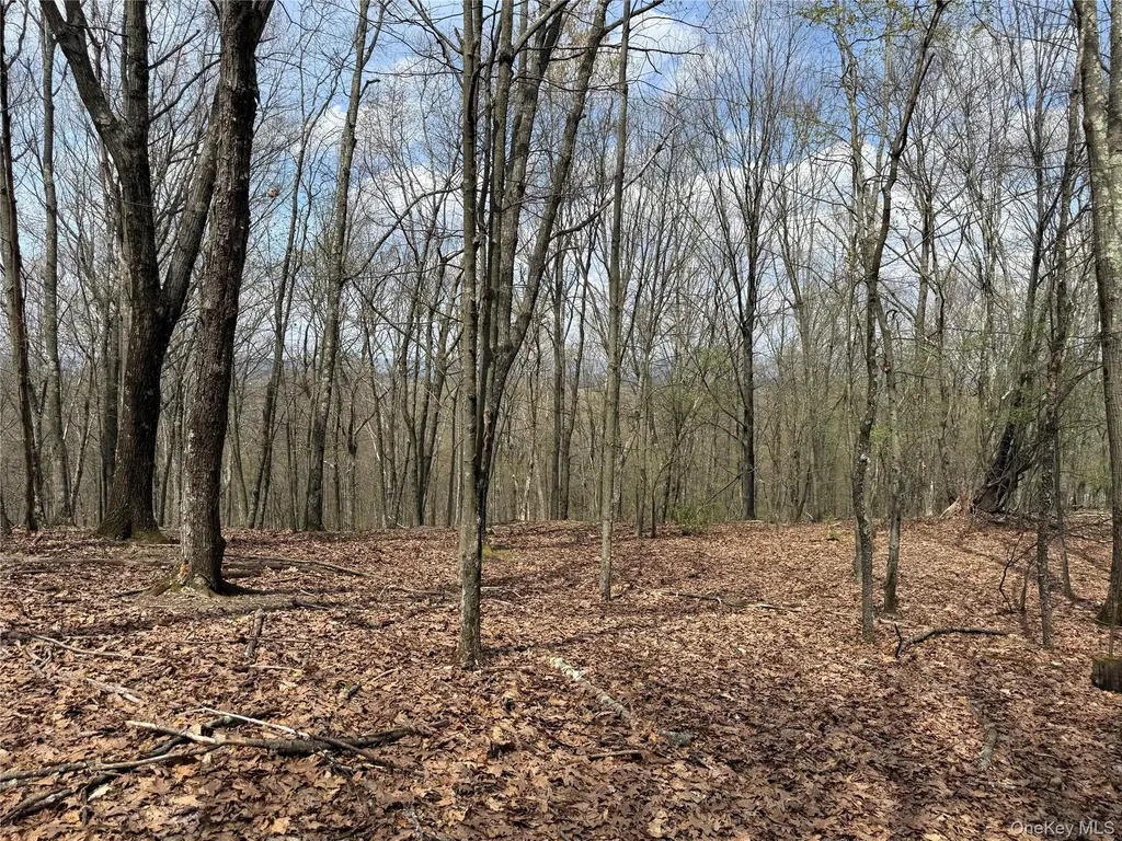 383 Connors Road Middletown NY 10941