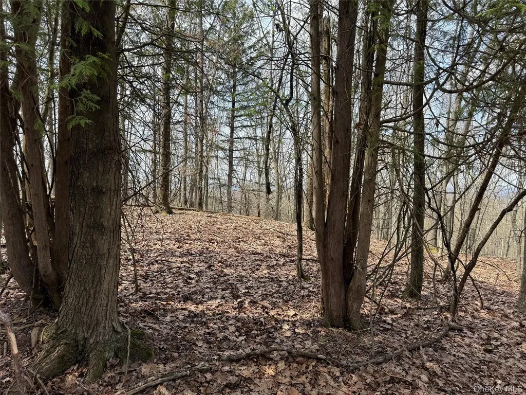 383 Connors Road Middletown NY 10941