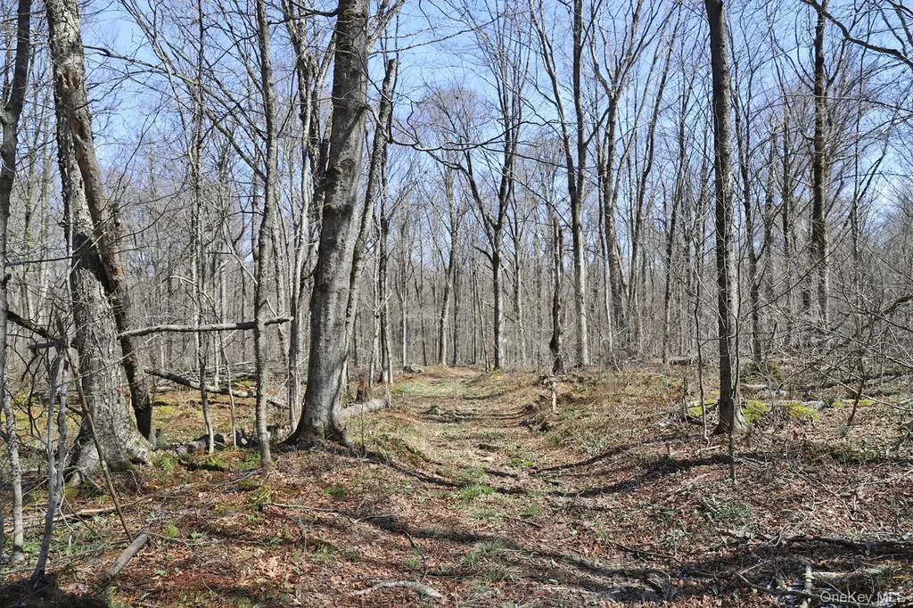 Bethlehem Road Callicoon Center NY 12724