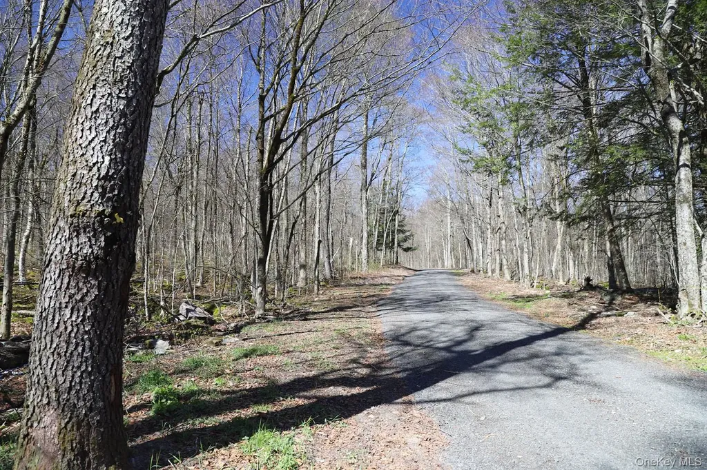 Bethlehem Road Callicoon Center NY 12724