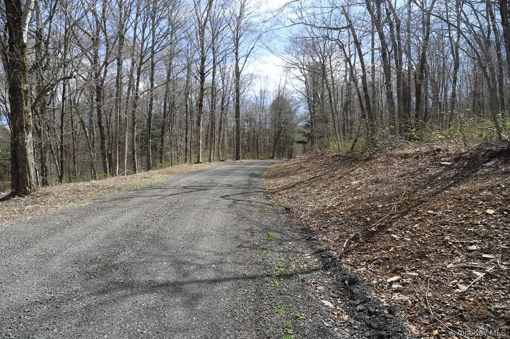 Bethlehem Road Callicoon Center NY 12724
