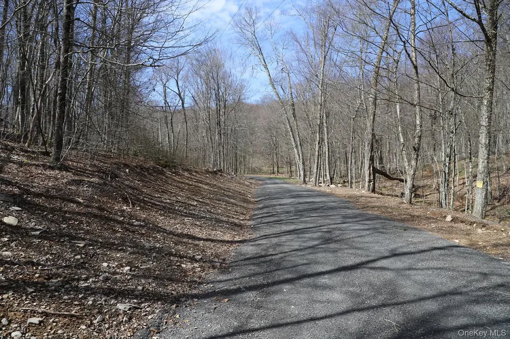 Bethlehem Road Callicoon Center NY 12724