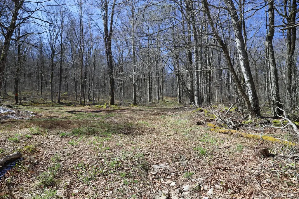 Bethlehem Road Callicoon Center NY 12724