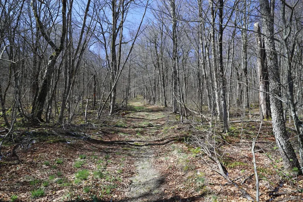 Bethlehem Road Callicoon Center NY 12724