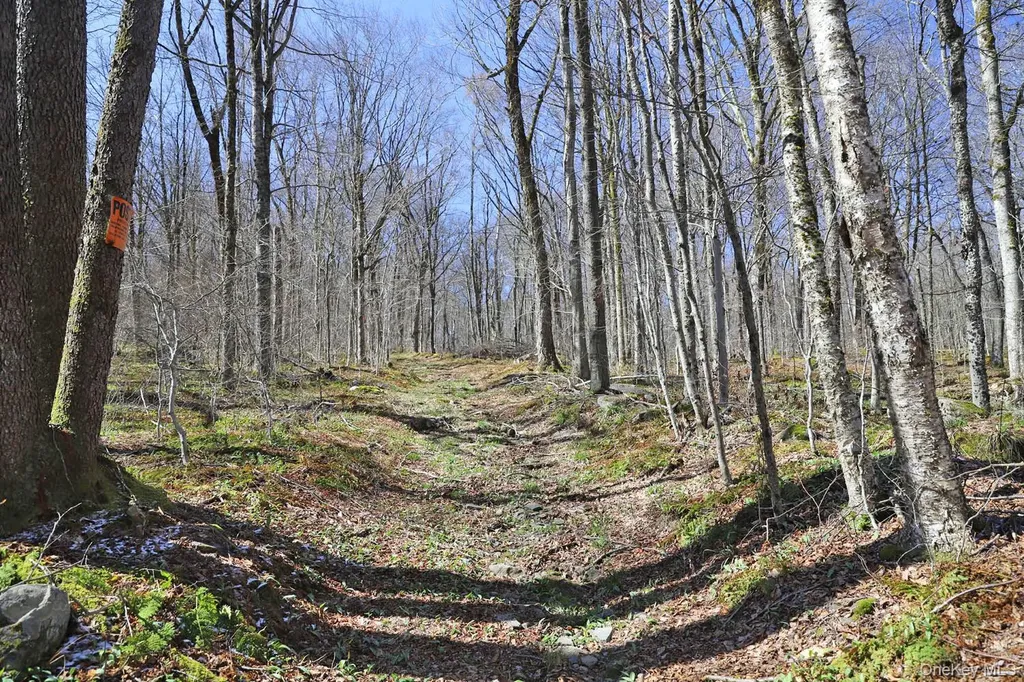 Bethlehem Road Callicoon Center NY 12724