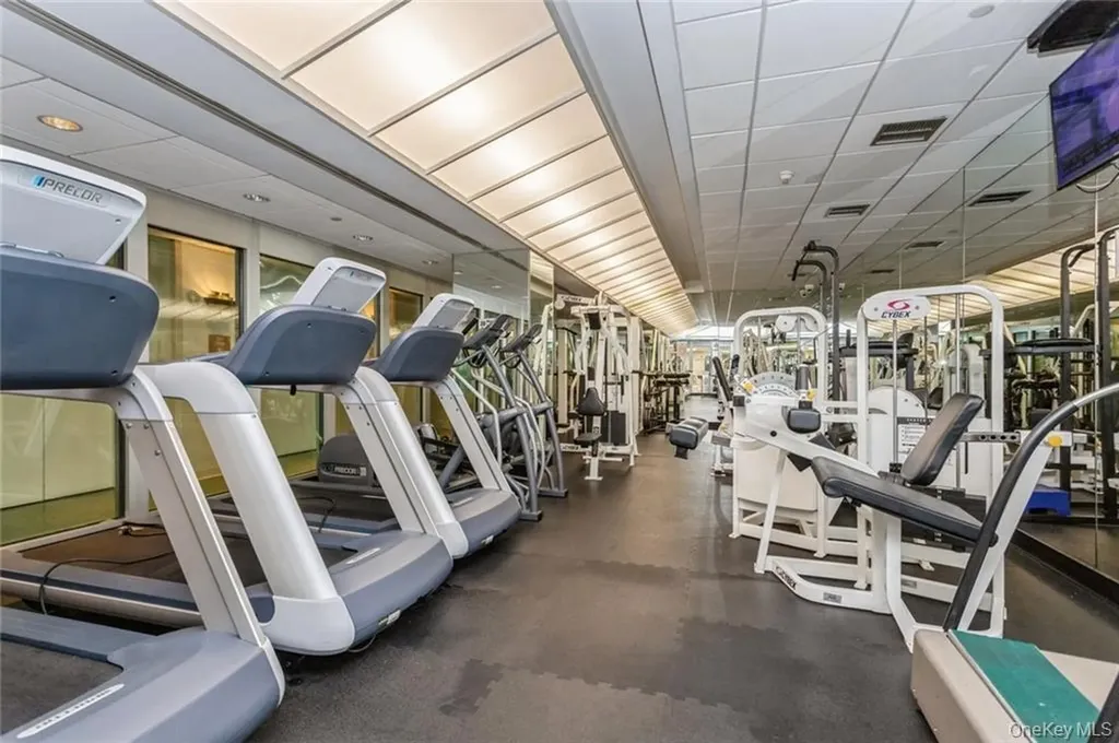 4 Martine White Plains NY 10606