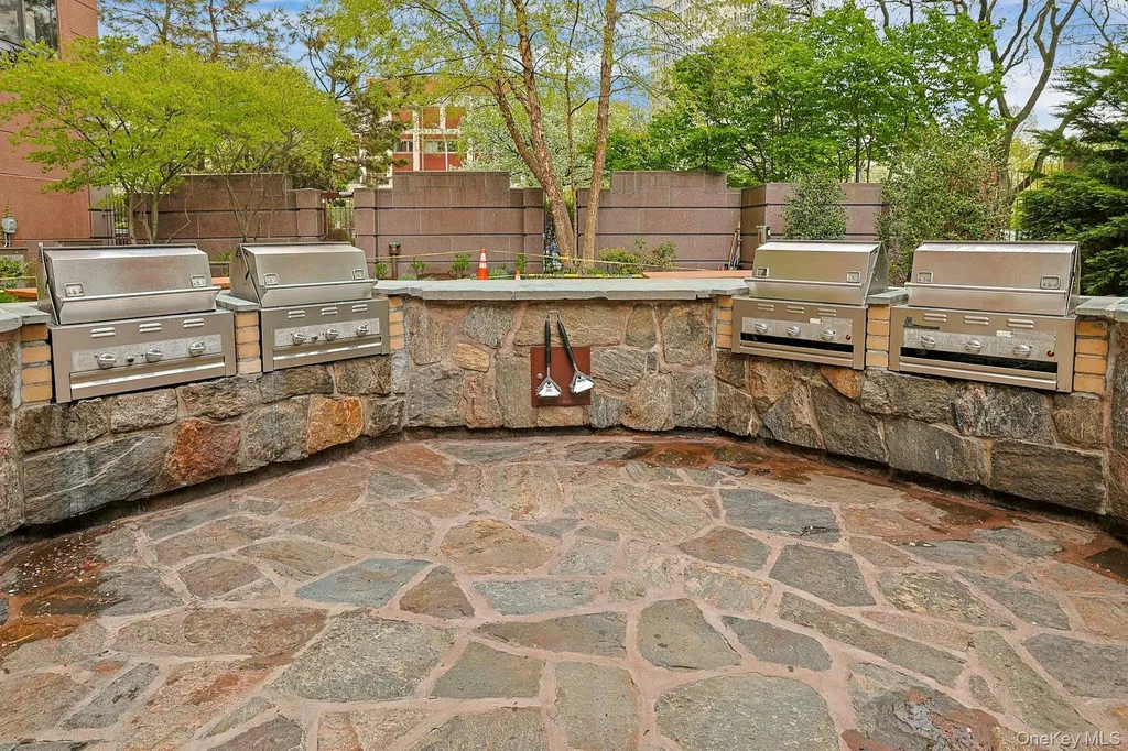 4 Martine White Plains NY 10606