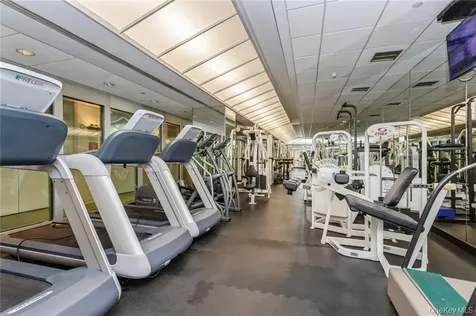 4 Martine White Plains NY 10606
