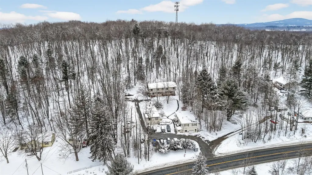 1189 State Route 52 Fallsburg NY 12759