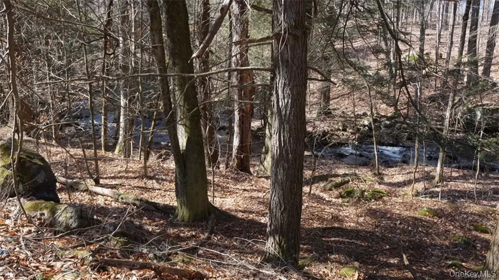 221 Starlight Road Monticello NY 12701