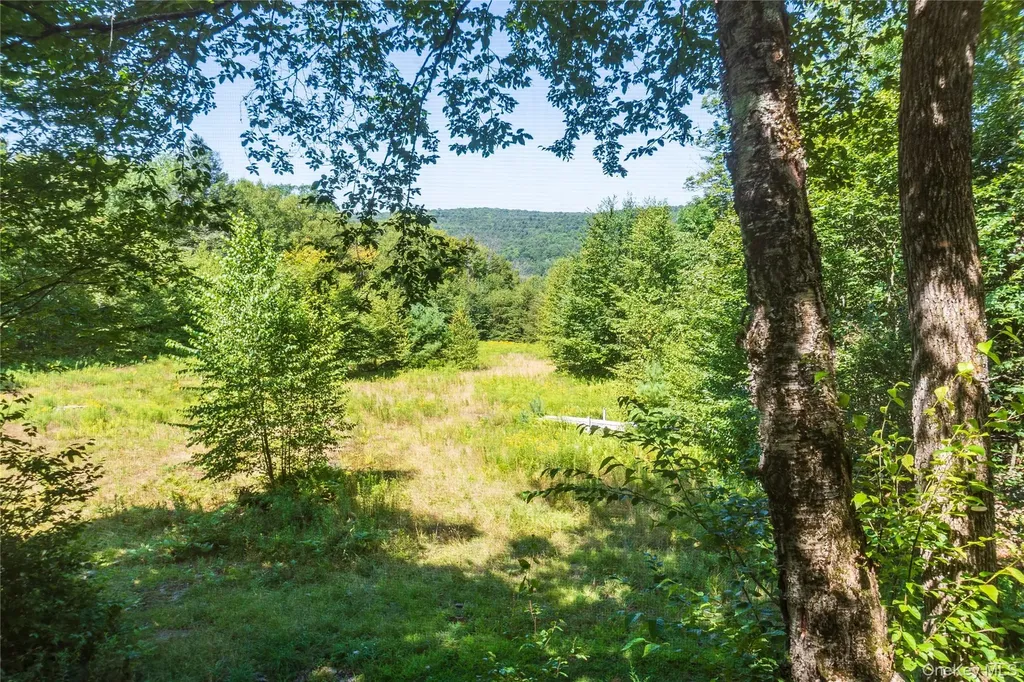 885 Grandview Road Hancock NY 13783