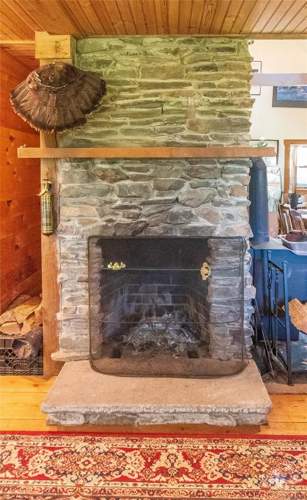 885 Grandview Road Hancock NY 13783