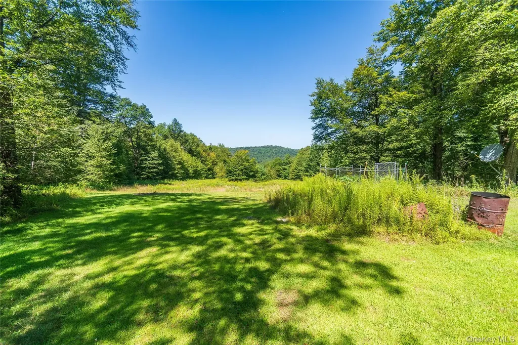 885 Grandview Road Hancock NY 13783