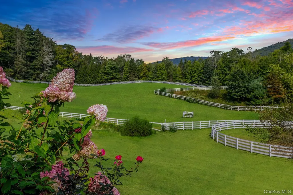 1650 Bodoit Road Hancock NY 13783