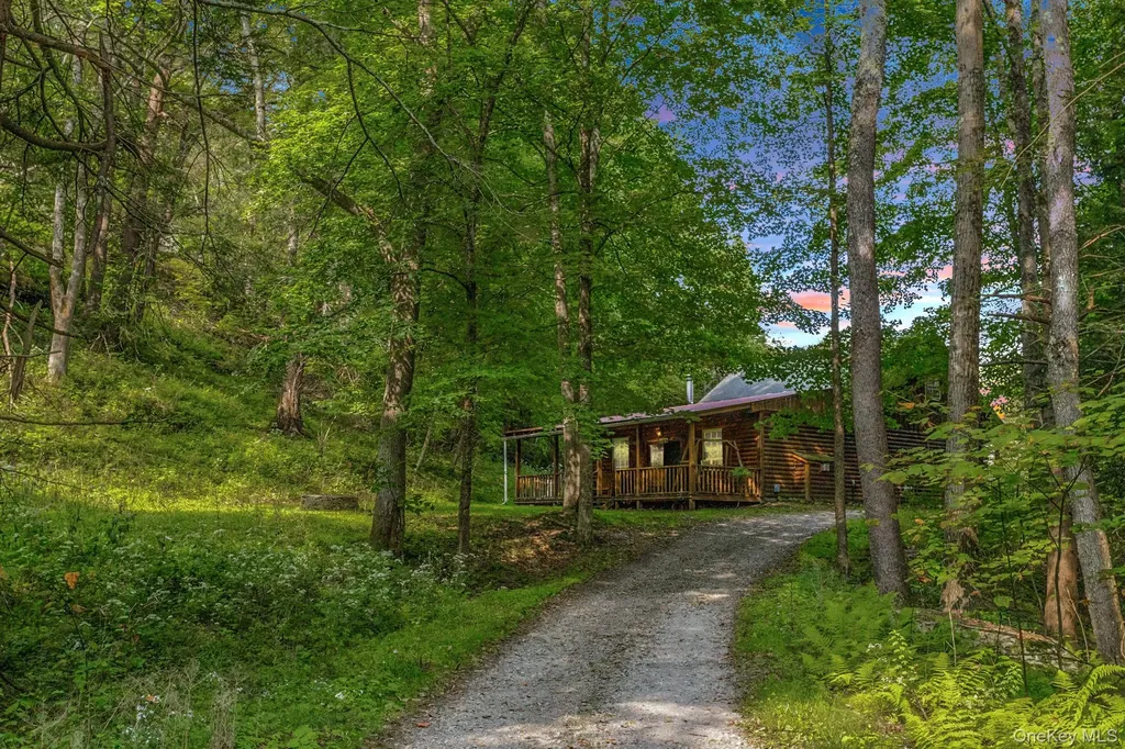 1650 Bodoit Road Hancock NY 13783