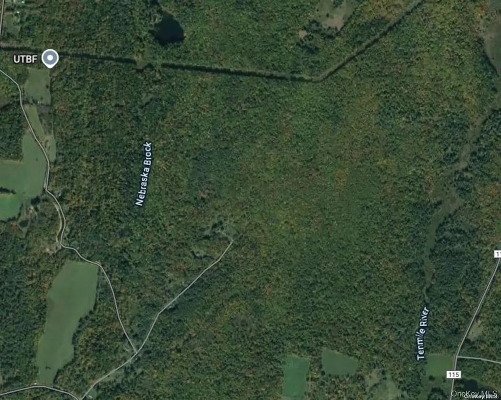 Trail 16 Cochecton NY 12726