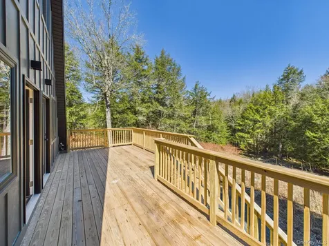 343 Dahlia Road Livingston Manor NY 12758