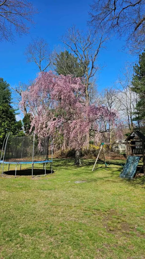 4 Richard Terrace Hartsdale NY 10530