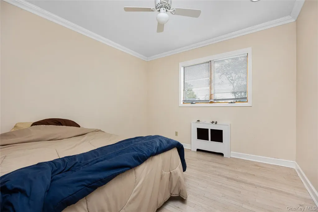 55 Amherst Drive Massapequa NY 11758