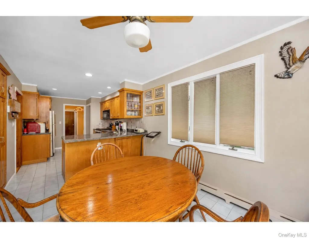 55 Amherst Drive Massapequa NY 11758