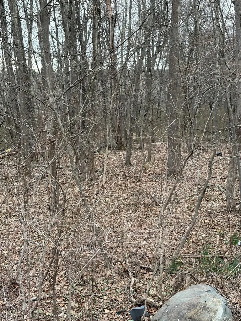 Wells Road Newburgh NY 12550