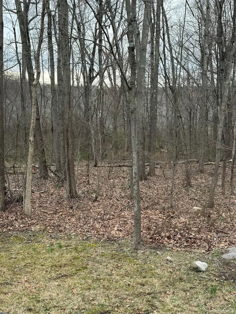 Wells Road Newburgh NY 12550