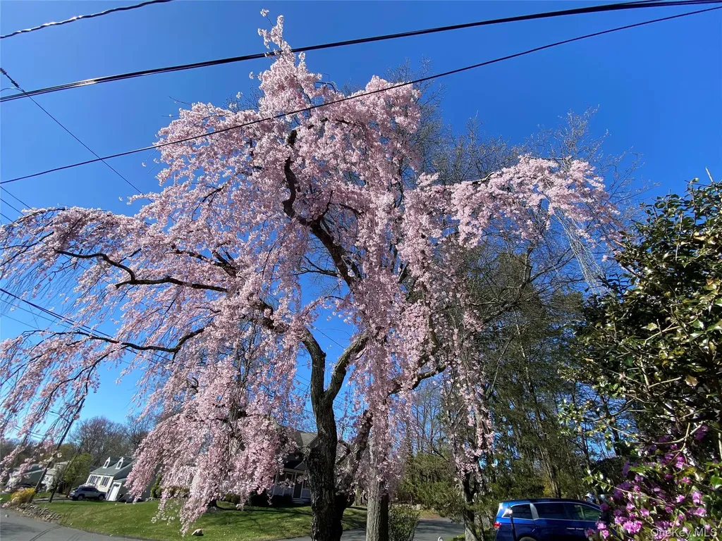 315 Manor Boulevard Pearl River NY 10965