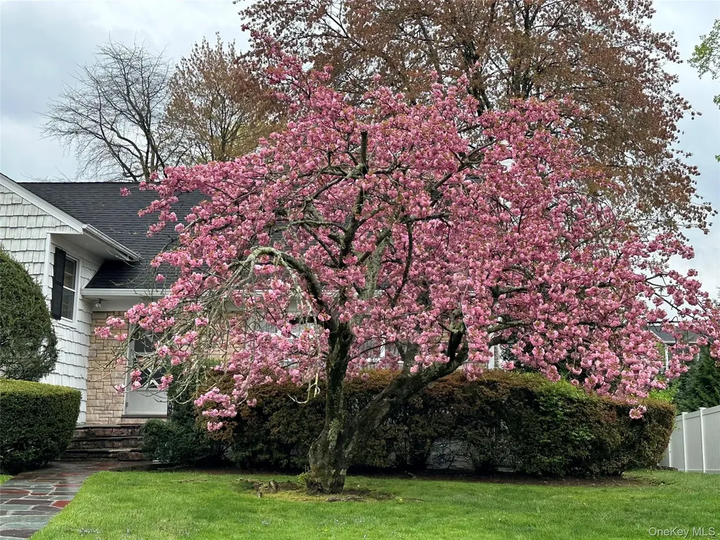 285 Stuart Drive New Rochelle NY 10804