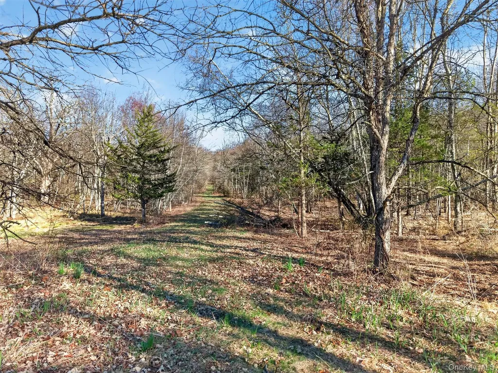 204 Brola Road Middletown NY 10940