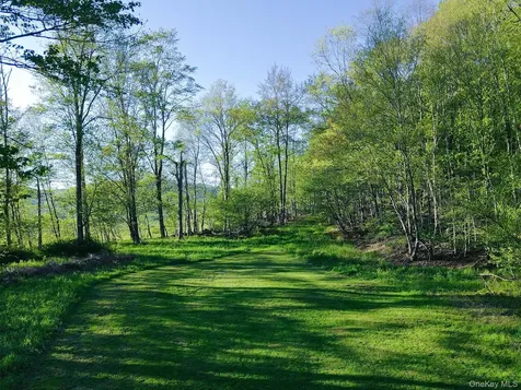 2220 Old Route 17 Roscoe NY 12776