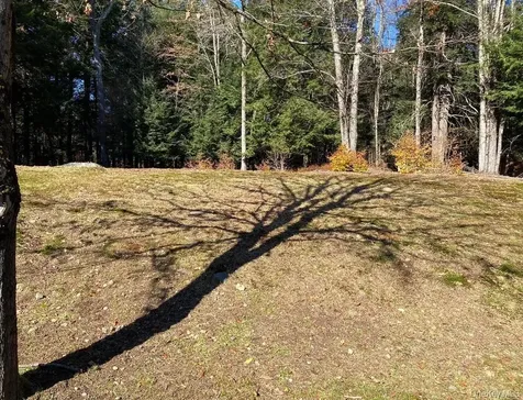 141 Gale Road Mongaup Valley NY 12762