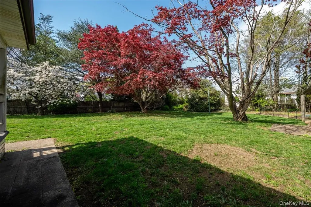 167 Maple Avenue East Meadow NY 11554