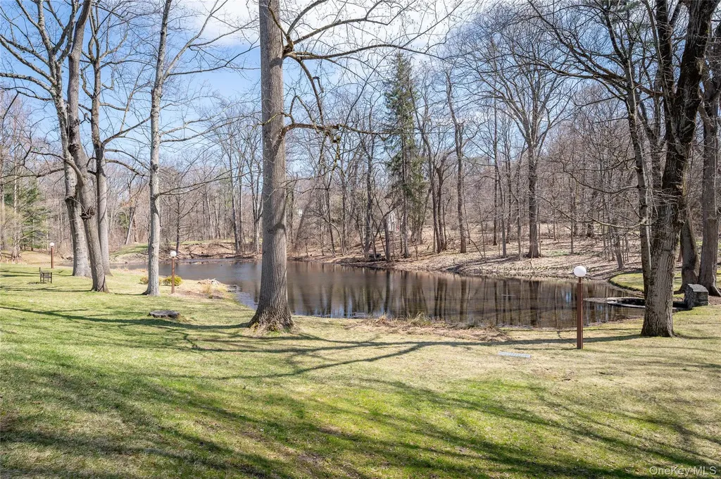 29 Beechwood Way Briarcliff Manor NY 10510