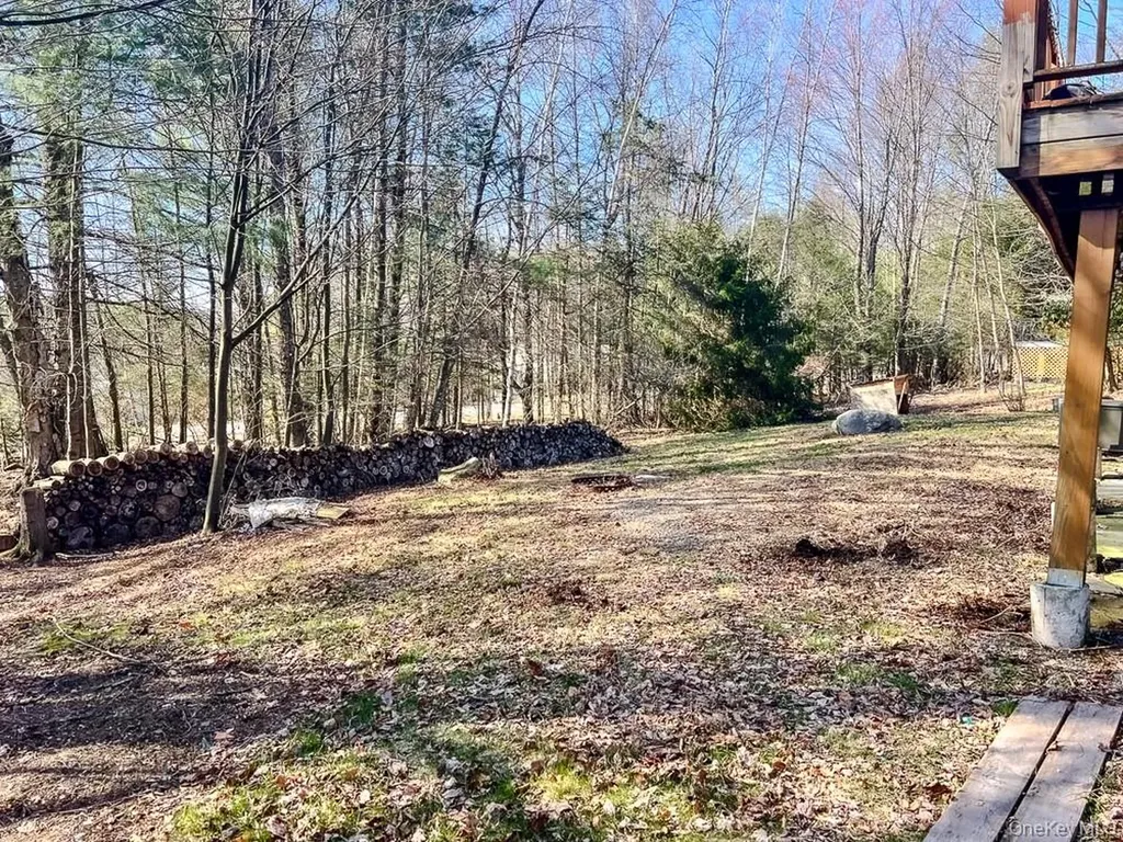19 Morris Drive Loch Sheldrake NY 12759