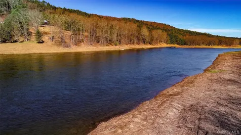 19 Arrowhead Lane Narrowsburg NY 12764
