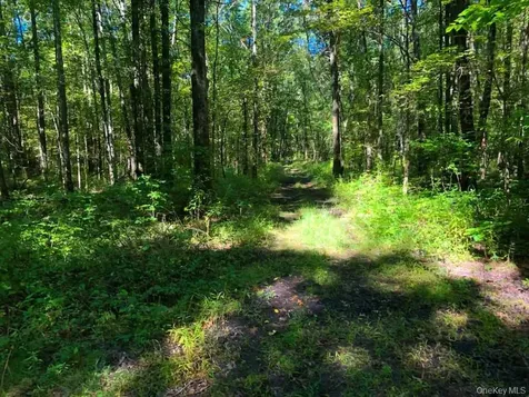 450 Route 17k Bloomingburg NY 12721