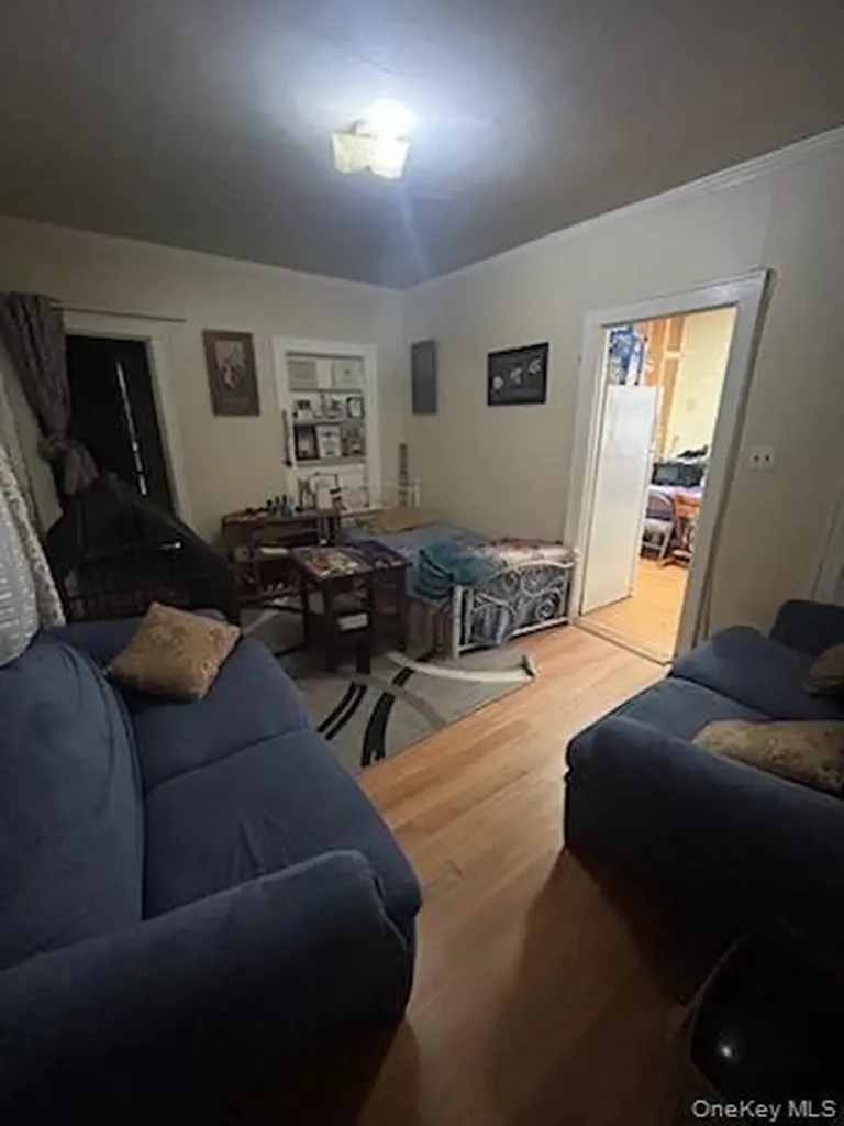 6 Hendrickson Avenue Elmont NY 11003